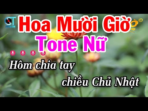 Karaoke Hoa Mười Giờ Tone Nữ A#m Nhạc Sống Rumba Dễ Hát 2025