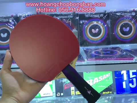 Combo Joola Solja + Joola Dynaryz ACC