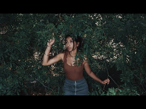 Janani K. Jha - The Maze (Official Visualizer)