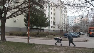 Силният вятър събори дървета, клони, ламарини на сгради и огради на строежи в Хасково