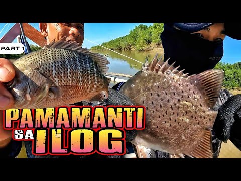 P1-NAKARAMI NG HULI SA PAMAMANTI - EP1136