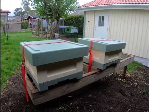 Bi - Leverans till kunder (topplistkupa)