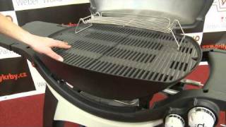 Weber Q 3200