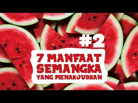 , title : 'Dokter 24 - Manfaat Menakjubkan Semangka Bagi Tubuh Anda -'