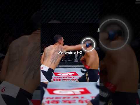 Counter the Counter in MMA 🤯✅ #ufc