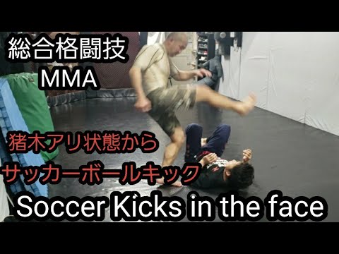 猪木アリ状態からの攻防 How to Soccer Kick in the Face.