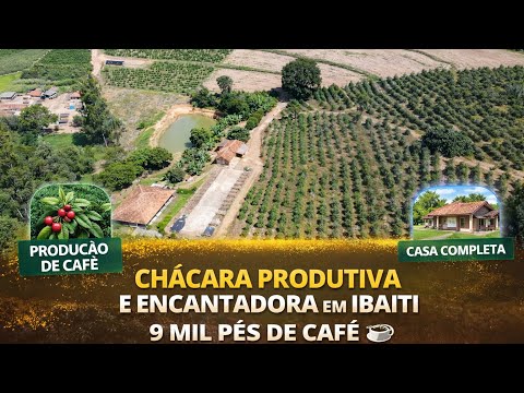 Chácara dos Sonhos em Ibaiti | 9 Mil Pés de Café + Pomar completo e Casa Encantadora