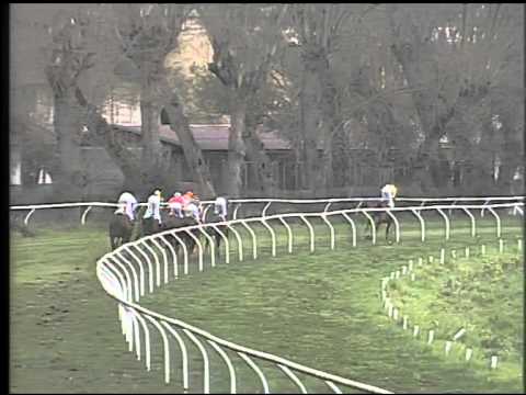 Galoppo 24/02/2015 - 1° corsa