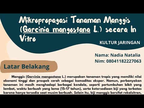 Video