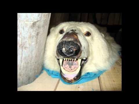 Hot Chocolate + Polar Bear Rug ( Dada Life Remix) - Super Viral Brothers