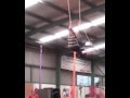 Trapeze Matilda