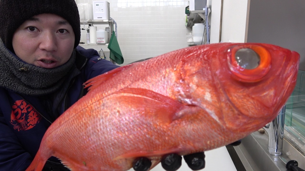 うお一番の鮮魚BOXによく入ってる今ウマイ魚がコチラ