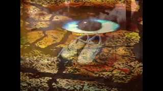 The Monomes - Your mind is on the run (Video no oficial)