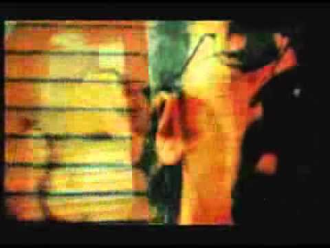 Bei The Fish   The End