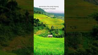 Download lagu aku ingin pulang Ebiet g Ade #ebietgade #shorts mp3