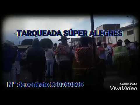 TARQUEADA SÚPER ALEGRES
