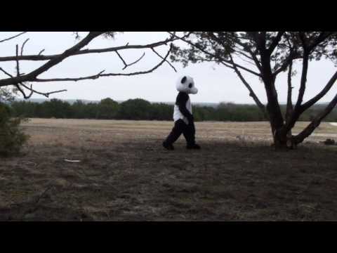 デュード・パーフェクト・パンダ｜第2話 (Dude Perfect Panda | Episode 2)