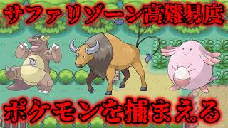 サファリゾーンの高難易度ポケモンを捕まえよう