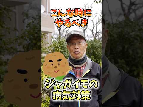 2024 年のジャガイモの植え付け時期は?成功のためのすべてのアドバイス  庭園