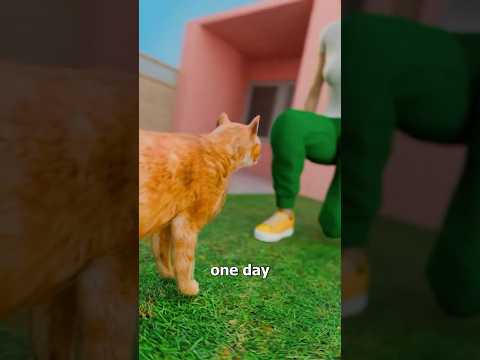 My Cat Started Paying My Rent 😁