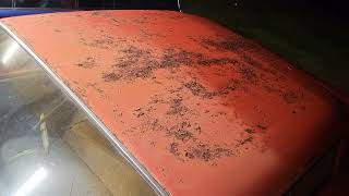 1961 Chevy Bel Air update 11/9/2023. She wants to run!!