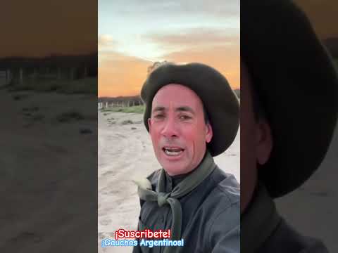 Amilcar unanue en la pampa domando 14 POTROS  🐴🇦🇷