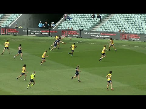 Jackson Mead highlights