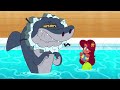 Zig Sharko Sharko Clumsy Hero Compilation BEST CARTOON COLLECTION New Episodes In HD