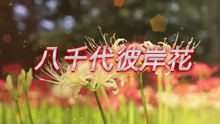 八千代市村上緑地公園の彼岸花