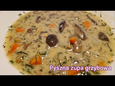 The most delicious mushroom soup made from forest mushrooms.