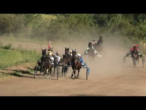 Trka "Agro Fruit" 6.8.2022. Oksana - Jovica Ostojić