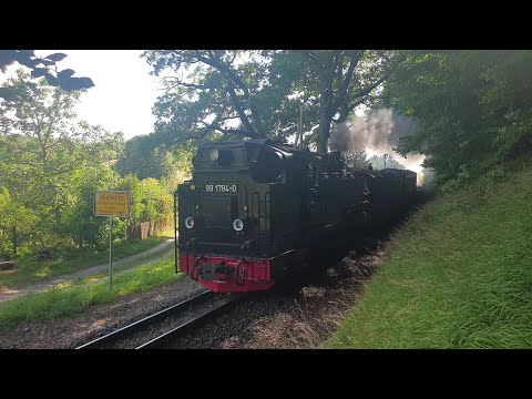 99 1784-0 mit P 109 zwischen Seelvitz und Serams bei Nistelitz