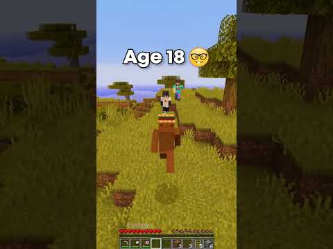 Minecraft Manhunt At Different Ages 😳 (World's Smallest Violin)