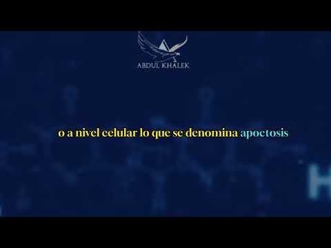 Medicina Regenerativa y Longevidad: ponencia divulgativa
