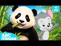 Giant Panda Adventure More ABCmouse Search Explore For Kids 45 Minutes