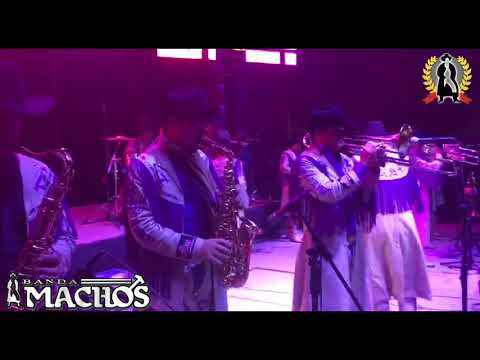 Video Bésame Y Abrázame (En Vivo) de Banda Machos