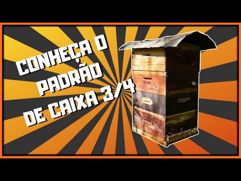 Apicultura Profissional - CONHEÇA O PADRÃO 3/4