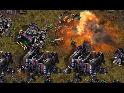 ZERG VIEW! Action 🇰🇷 (Z) vs Really 🇰🇷 (T) on Tornado - StarCraft - Brood War Remastered