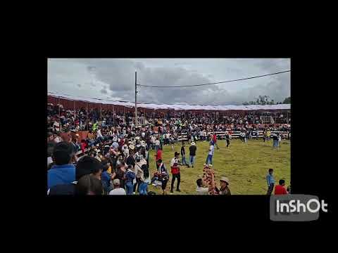 Firavitoba boyaca 