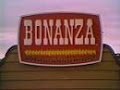 Bonanza Restaurants Commercial 1977