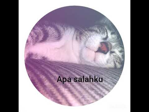 Cover Apa salahku - d'masiv  (acoustic)