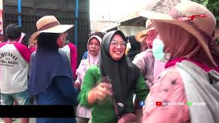 Download lagu MANUK DANGDUT LINDA SARI || GEDENG MELOROD mp3 Download lagu MANUK DANGDUT LINDA SARI || GEDENG MELOROD mp3