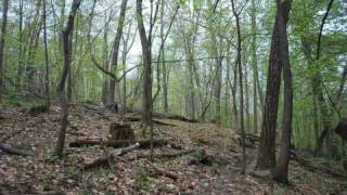 preview picture of video 'Part 1 Shaupeneak Spring Sprint 5K Trail Run -The course'