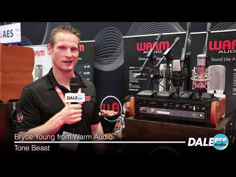 Dale Pro Audio - Warm Audio ToneBeast TB12 Black at AES 2019