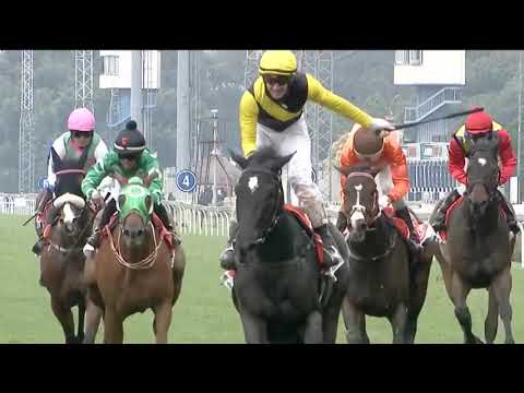 2020.11.28 Gauteng Summer Cup (RSA) - Summer Pudding