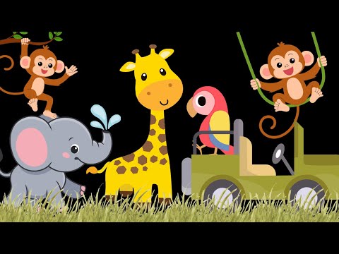 Little Safari Adventure Baby Sensory with High Contrast and Visual Stimulation
