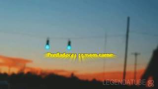 The Voidz - Where No Eagles Fly [Tradução/Legendado]