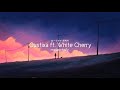 Gustixa & White Cherry - melancholy (alt version)