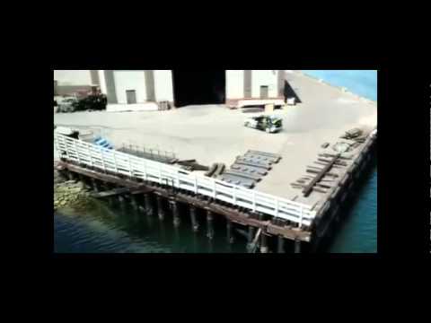 Grasu XXL- Full Option