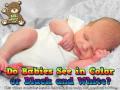 Do Babies See In Color or Black and White? (Baby Health Guru)